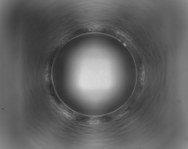 X0000071810604200606301229