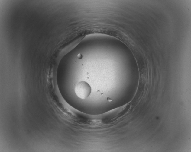 X0000071810605200606301229