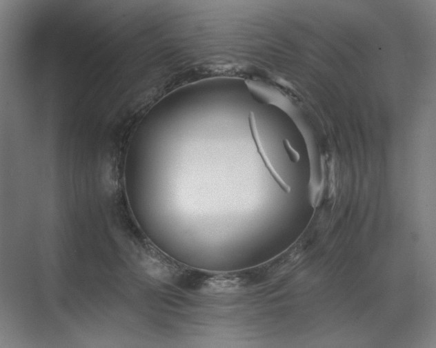 X0000071810606200606301229