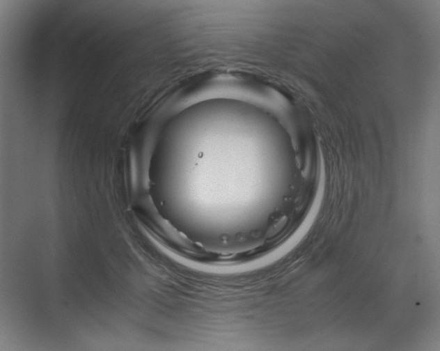 X0000071810607200606301229