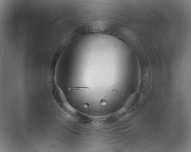 X0000071810608200606301229