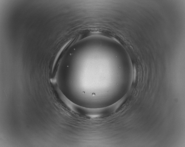 X0000071810609200606301229