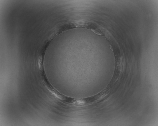 X0000071810610200606301229