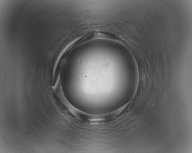 X0000071810611200606301229