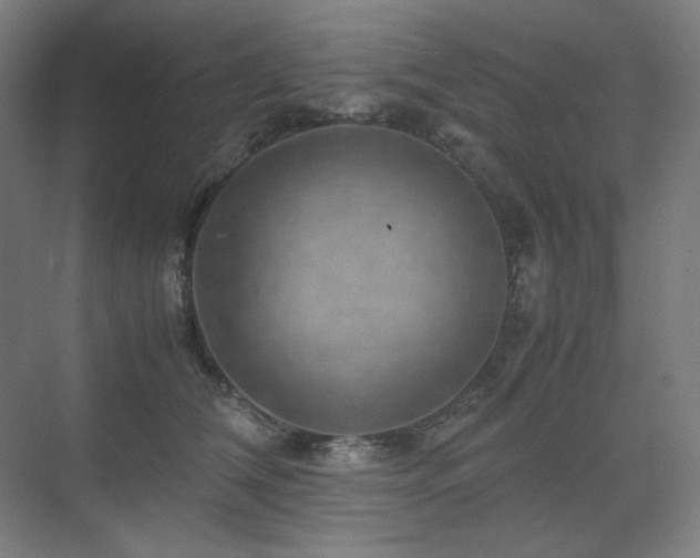 X0000071810612200606301229