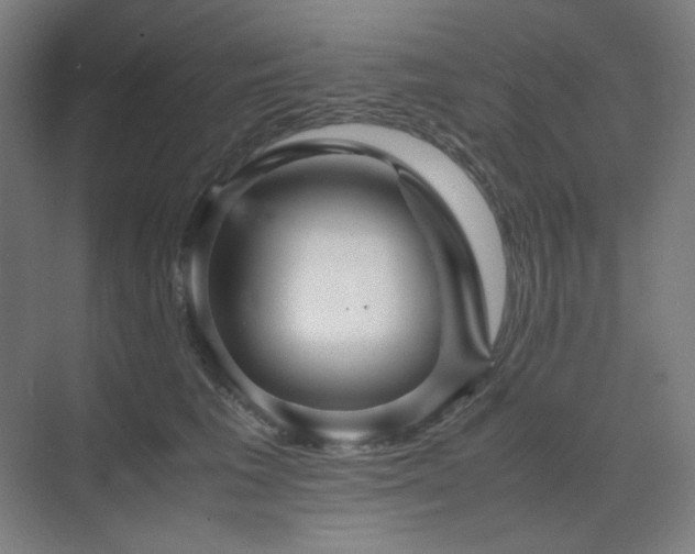 X0000071810613200606301229