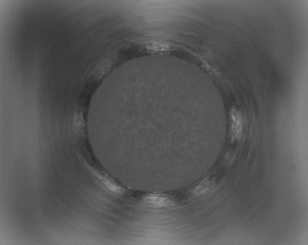 X0000071810614200606301229