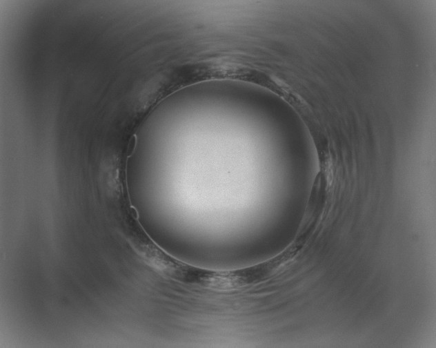 X0000071810615200606301229