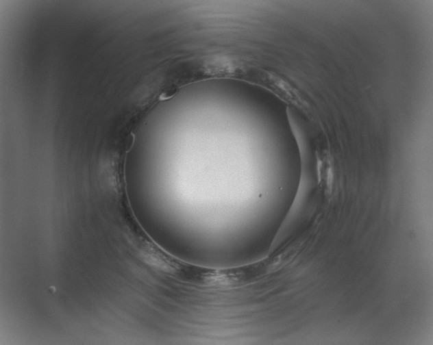 X0000071810616200606301228