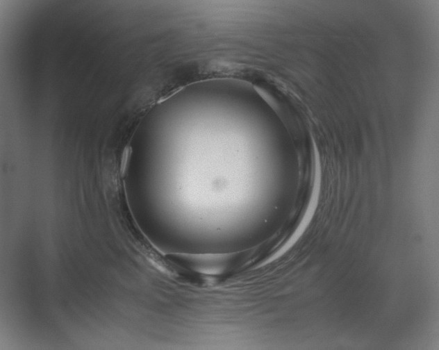 X0000071810617200606301228