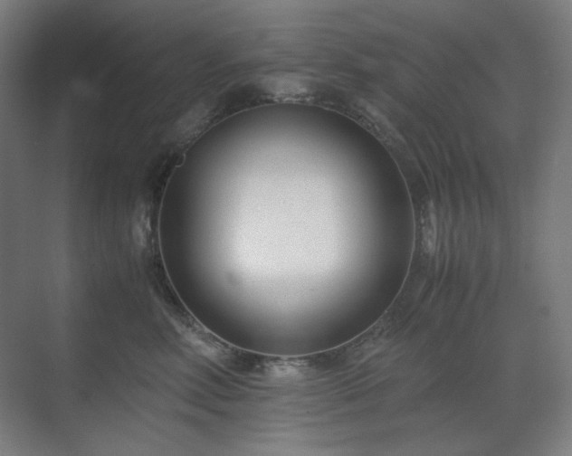 X0000071810618200606301228