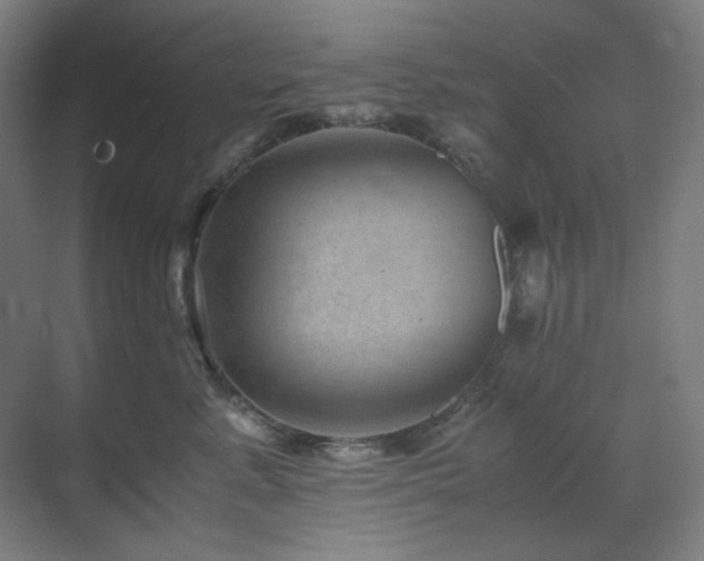 X0000071810619200606301228