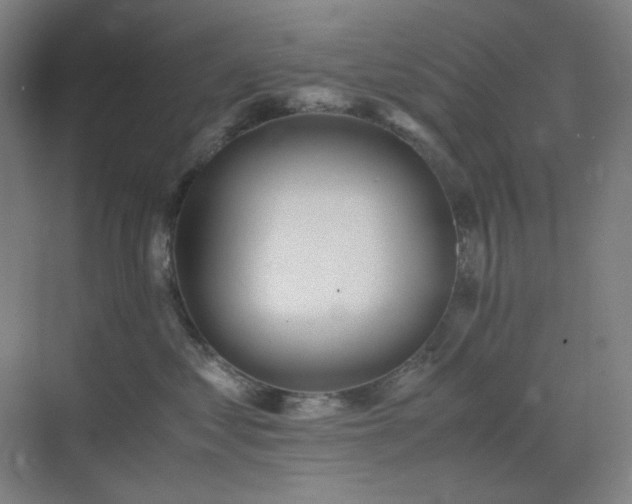 X0000071810621200606301228