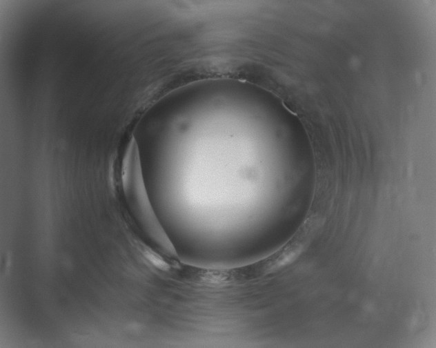 X0000071810624200606301228