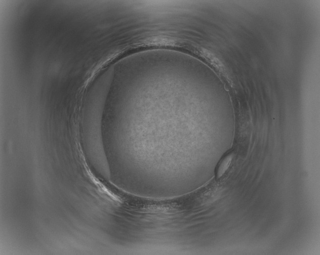 X0000071810625200606301228