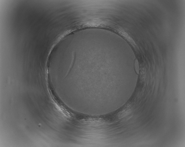 X0000071810626200606301228