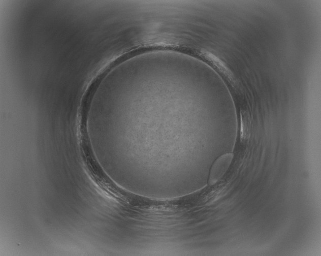 X0000071810627200606301228