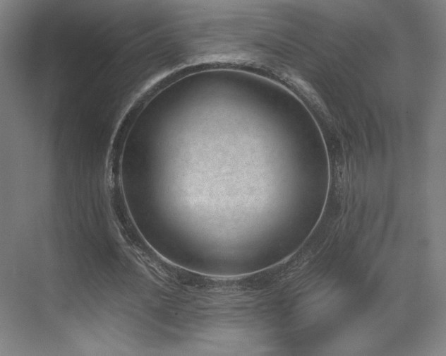 X0000071810628200606301228