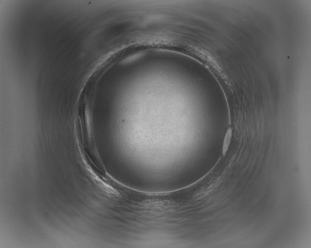 X0000071810629200606301228