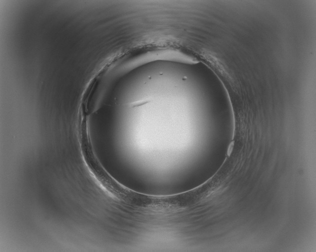 X0000071810630200606301228