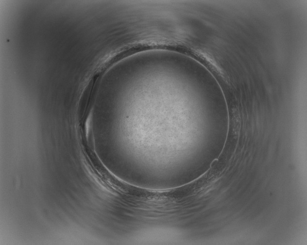 X0000071810631200606301228