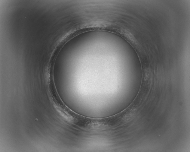 X0000071810632200606301228