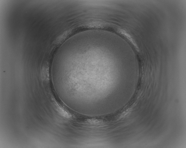 X0000071810633200606301228