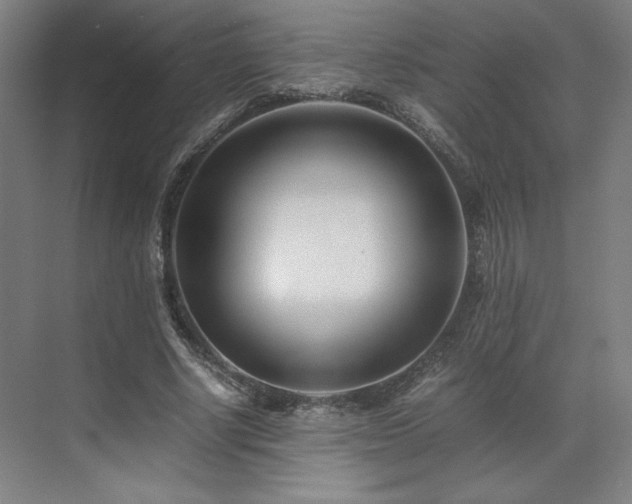 X0000071810634200606301228