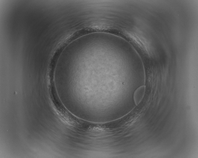 X0000071810635200606301228