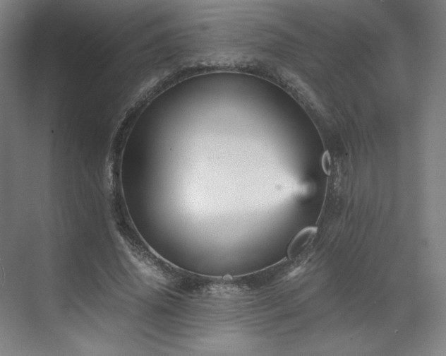 X0000071810636200606301228