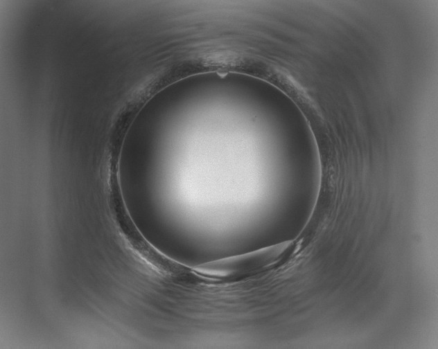 X0000071810637200606301228