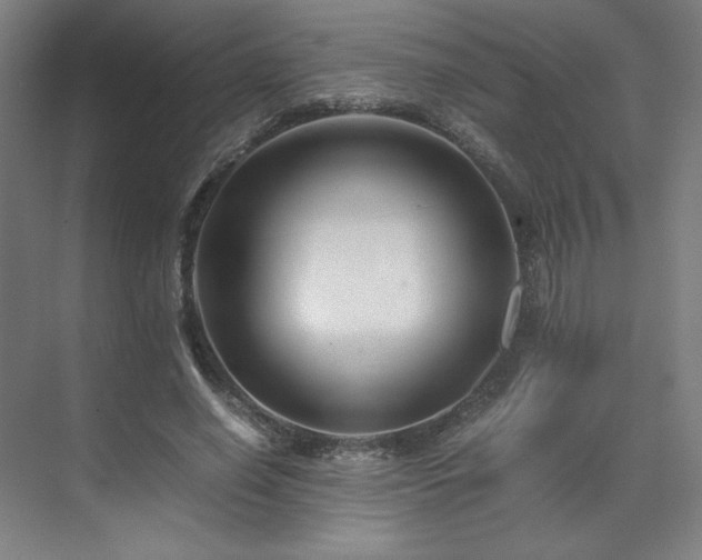 X0000071810638200606301228