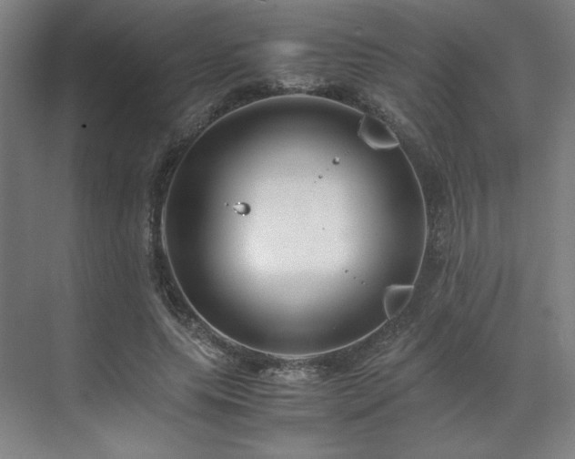 X0000071810639200606301228