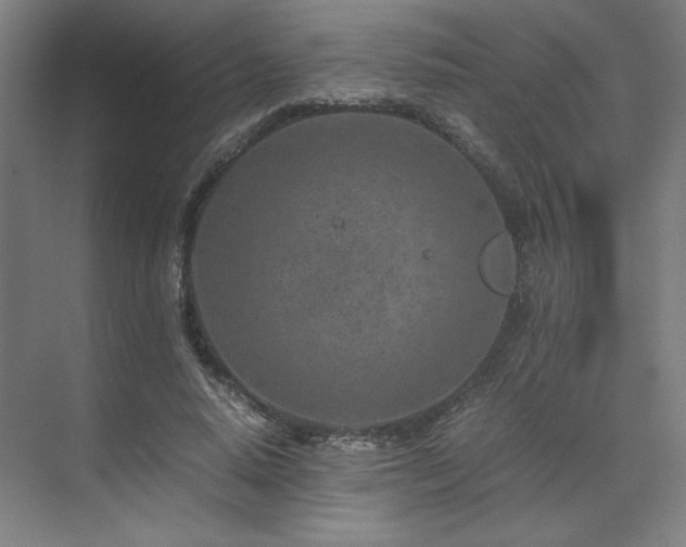 X0000071810640200606301228