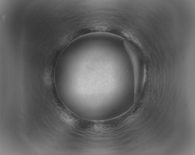 X0000071810641200606301228