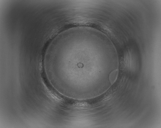 X0000071810642200606301228