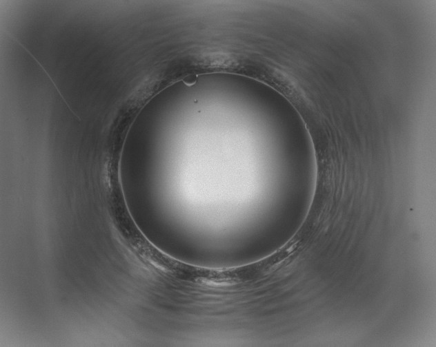 X0000071810643200606301228