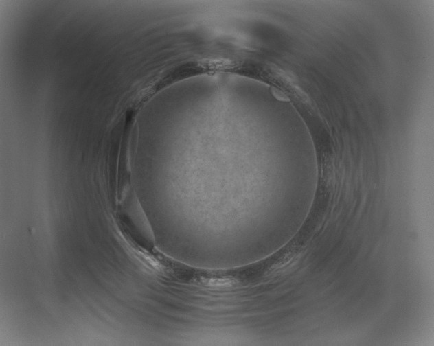 X0000071810645200606301228