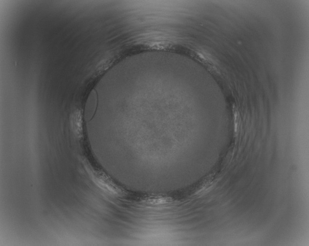 X0000071810646200606301228