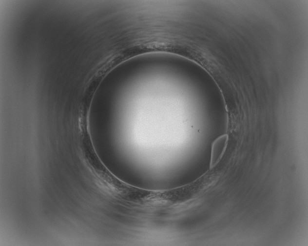 X0000071810648200606301228