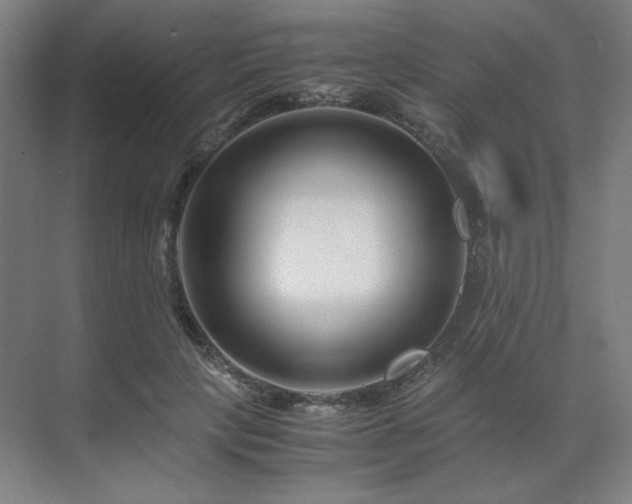 X0000071810649200606301228