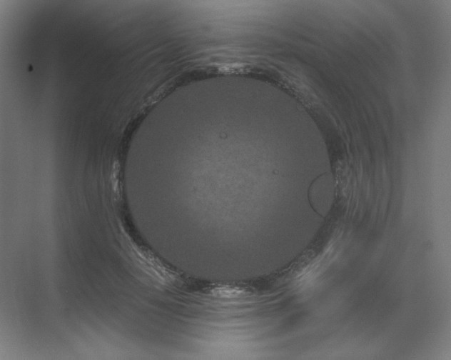 X0000071810650200606301228