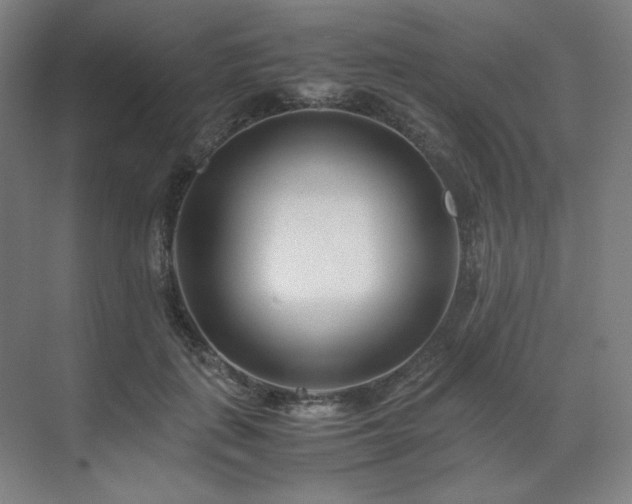 X0000071810651200606301228