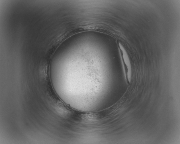 X0000071810652200606301228