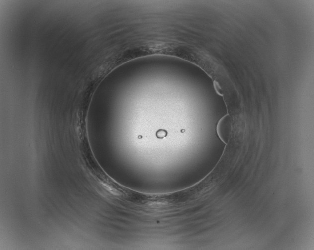 X0000071810653200606301228