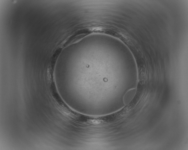 X0000071810654200606301228