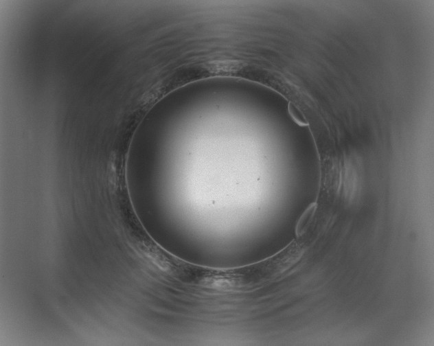 X0000071810655200606301228