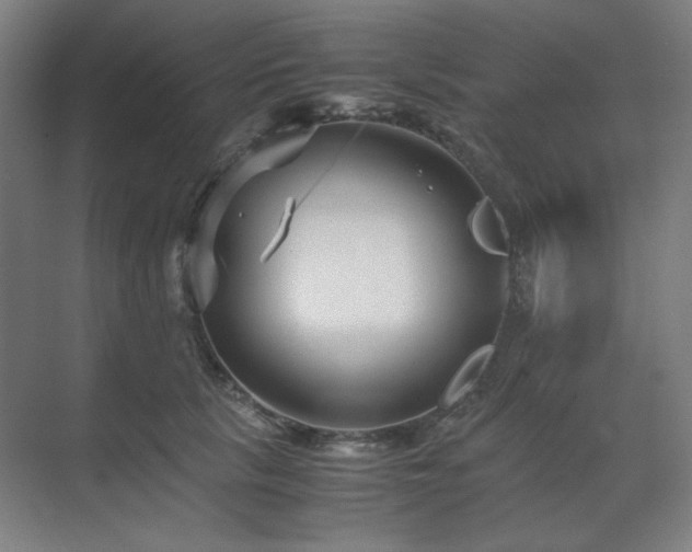 X0000071810657200606301228