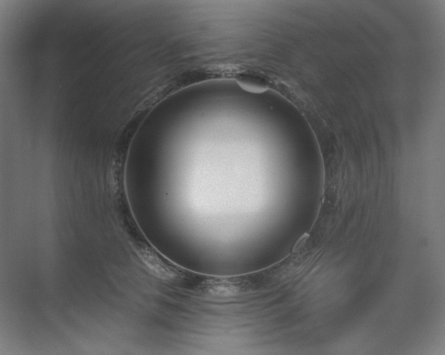 X0000071810658200606301228