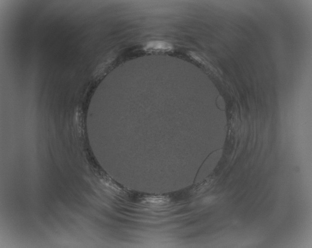 X0000071810659200606301228